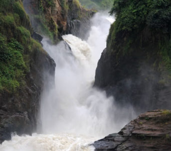 what to see and do in Murchison Falls National Park